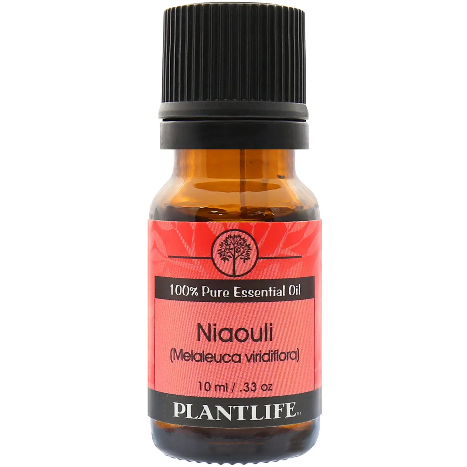 Plantlife Niaouli Essential Oil 10 ml – Fresh Camphoraceous Aromatherapy Oil with Bright Herbal Notes