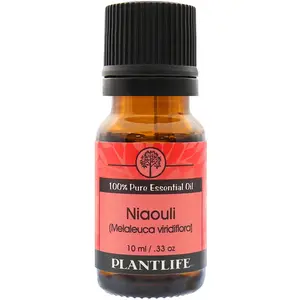 Plantlife Niaouli Essential Oil 10 ml – Fresh Camphoraceous Aromatherapy Oil with Bright Herbal Notes