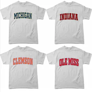 All Team Distressed Varsity College T-Shirt – Ash Grey, Custom Your Team, Perfect for Casual Wear, Game Day Shirt, Gift for Fans, Menswear & Womenswear