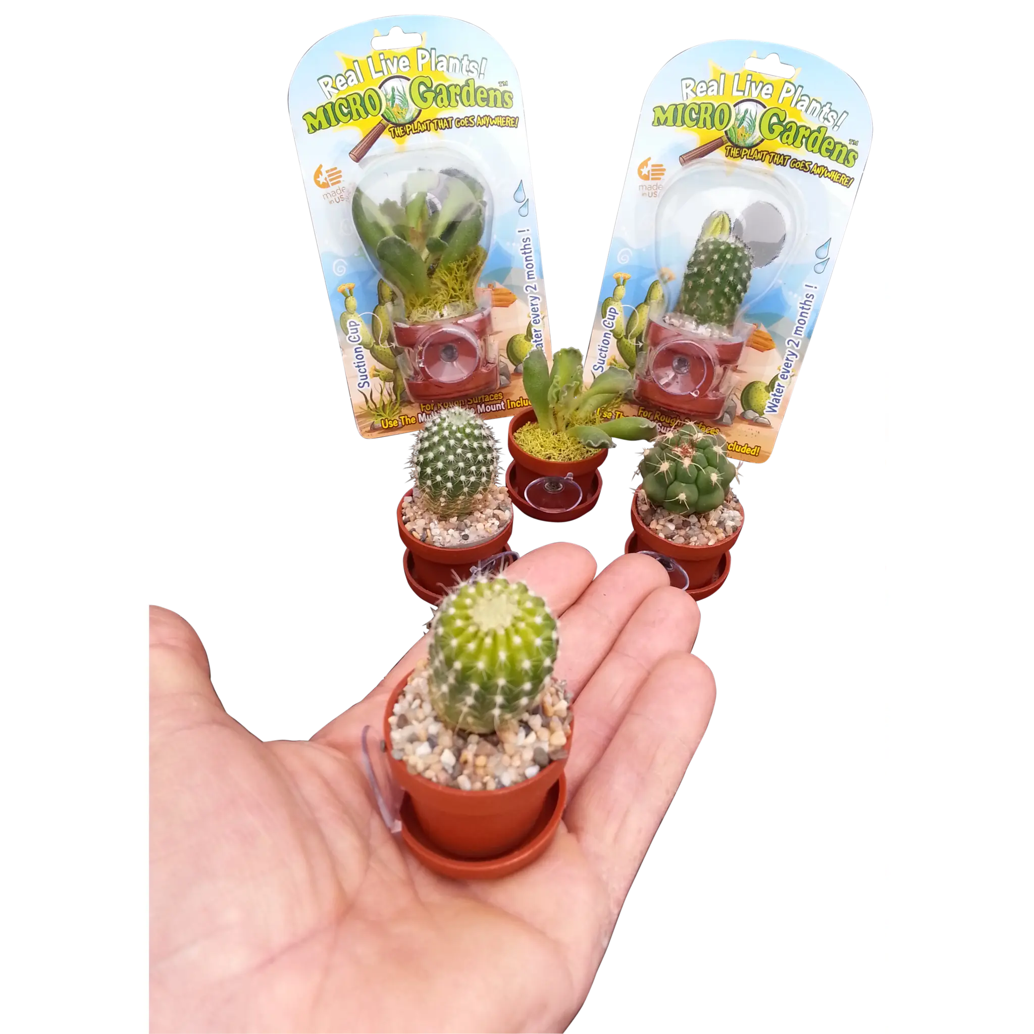 Micro Gardens