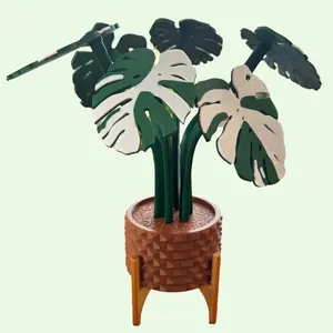 Albo Monstera Coaster Plant Set - Deep Green : 6 Leaf Coasters for Plant Lovers - 3D Printed | Mothers Day Gift | Valentines | House Warming