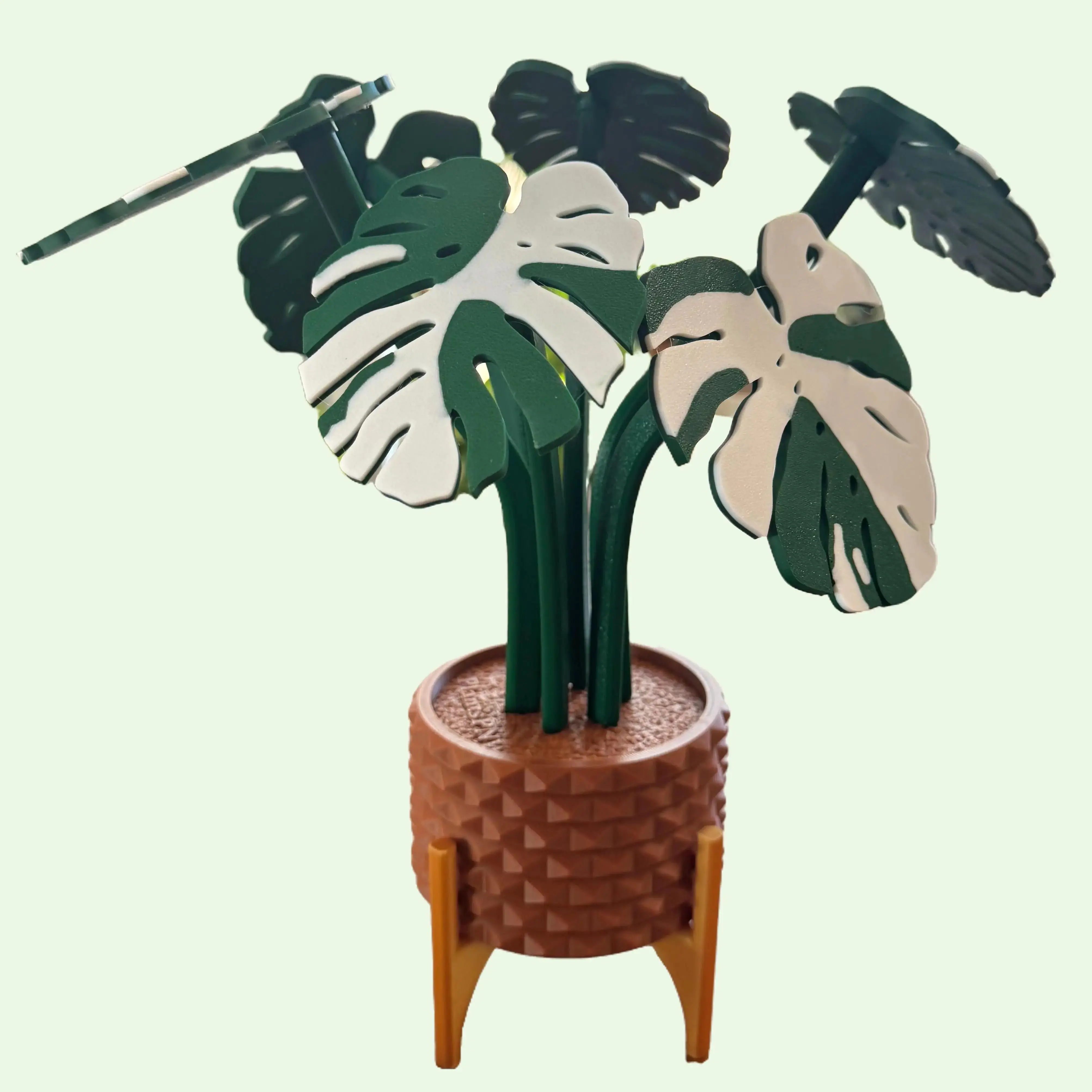 Albo Monstera Coaster Plant Set - Deep Green : 6 Leaf Coasters for Plant Lovers - 3D Printed | Mothers Day Gift | Valentines | House Warming