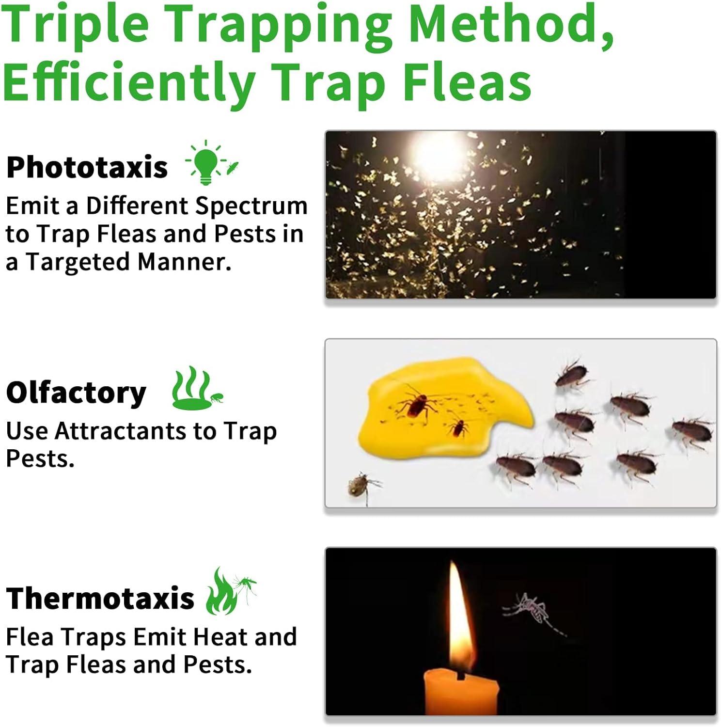 Flea Traps for Inside Your Home 2 Packs, Flea Trap Indoor Pest Control Trapper Insect Killer with Light, Sticky Bed Bug Natural with 4 Glue Disc Refills and 4 Lightbulbs