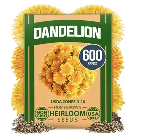 Dandelion Seeds for Planting – 600 Heirloom Medicinal Herb Seeds (2g) – 𝗡𝗢𝗡-𝗚𝗠𝗢 𝗨𝗦𝗔-𝗦𝗢𝗨𝗥𝗖𝗘𝗗 Grow Edible Leaves and Flowers for Remedies or Wildlife (Taraxacum officinale)