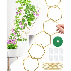 18 Pcs Chain Trellis for Climbing Plants, Potted Houseplant Accessories for Hoya, Ivy, Monstera, 6-Corner DIY Wall Trellis Plant Support with Hooks and Ties Indoor Outdoor, Climbing Planting Stand(Gold)