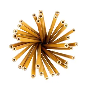 Reusable Bamboo Straw (5 straws)