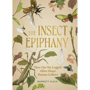 The Insect Epiphany by Barrett Klein [Hardcover Book]
