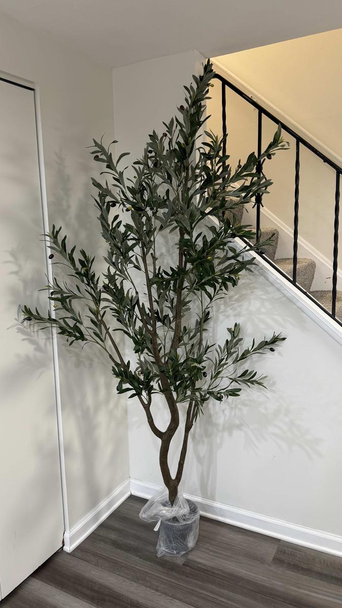 Item: 7FT 1296 leaves 54 fruits