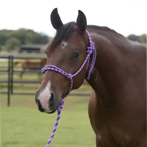 Professional's Choice Equisential Rope Halter