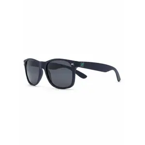 Classic Black Sunglasses