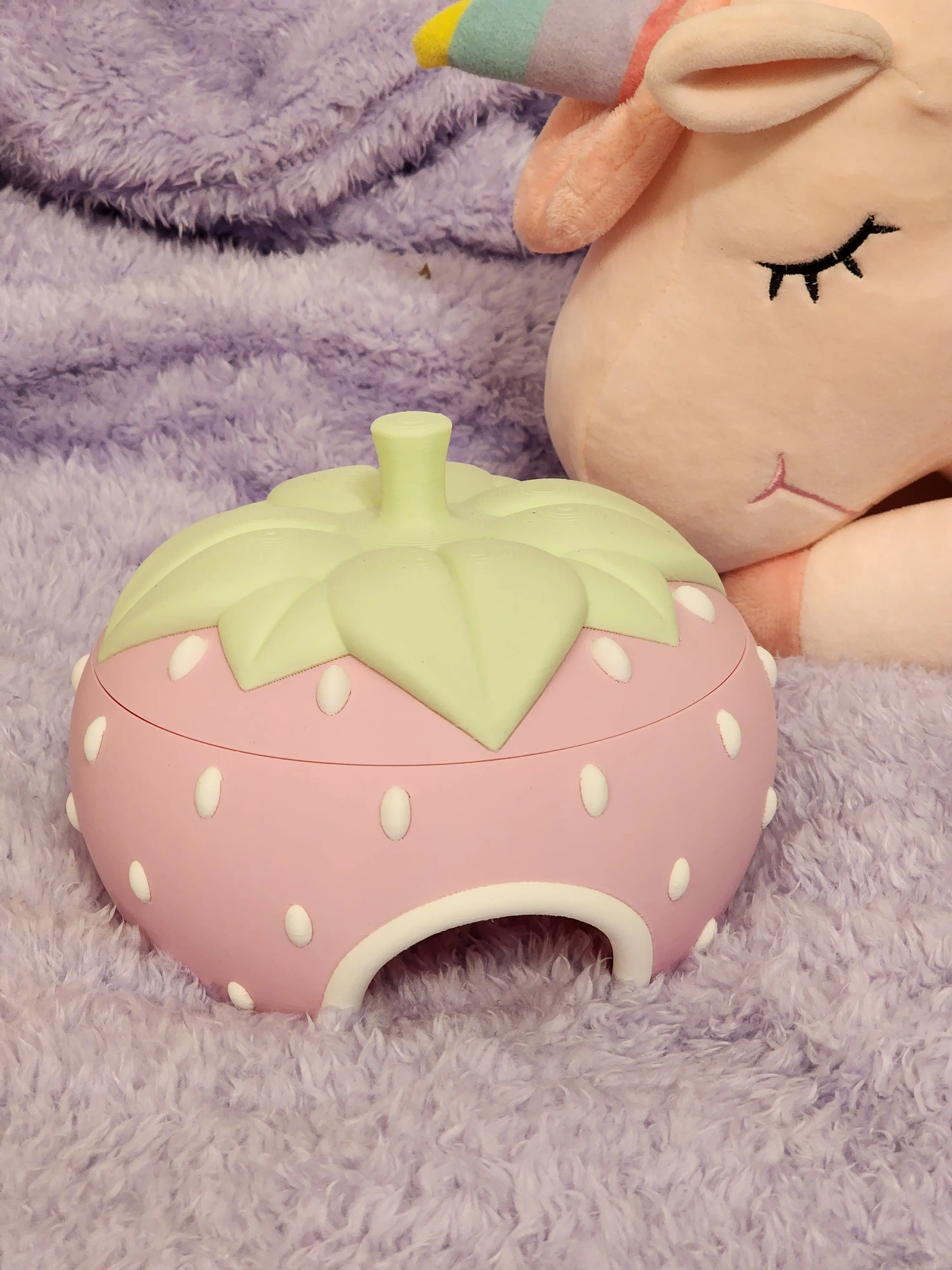Strawberry Themed Hide for Reptiles or Spiders with Removable Lid