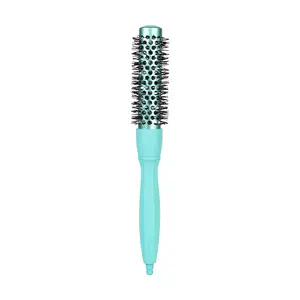 Blue Round Hair Roller Comb for Curling and Drying, High Heat Resistant Nylon Teeth, Abs Handle, Wave and Small Curls, Women's Styling Brush