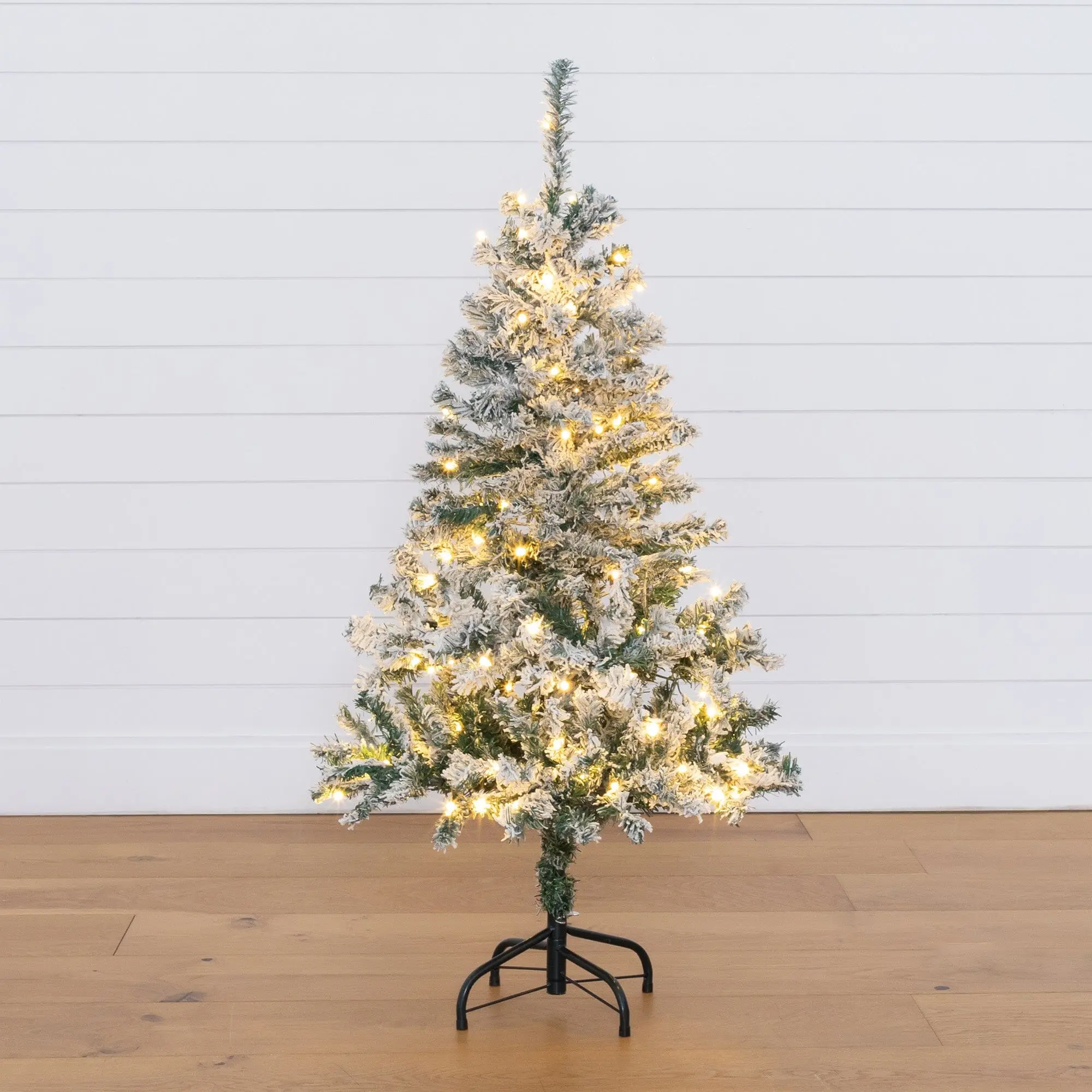 4' Flocked Rock Springs Spruce Artificial Christmas Tree with 100 Clear LED Lights