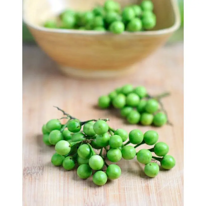 500+  Seeds Thai Pea Eggplant Seeds, Pea Eggplant Seeds, Herbs and Vegetable Seeds, Essential Ingredients in Thai Cuisine