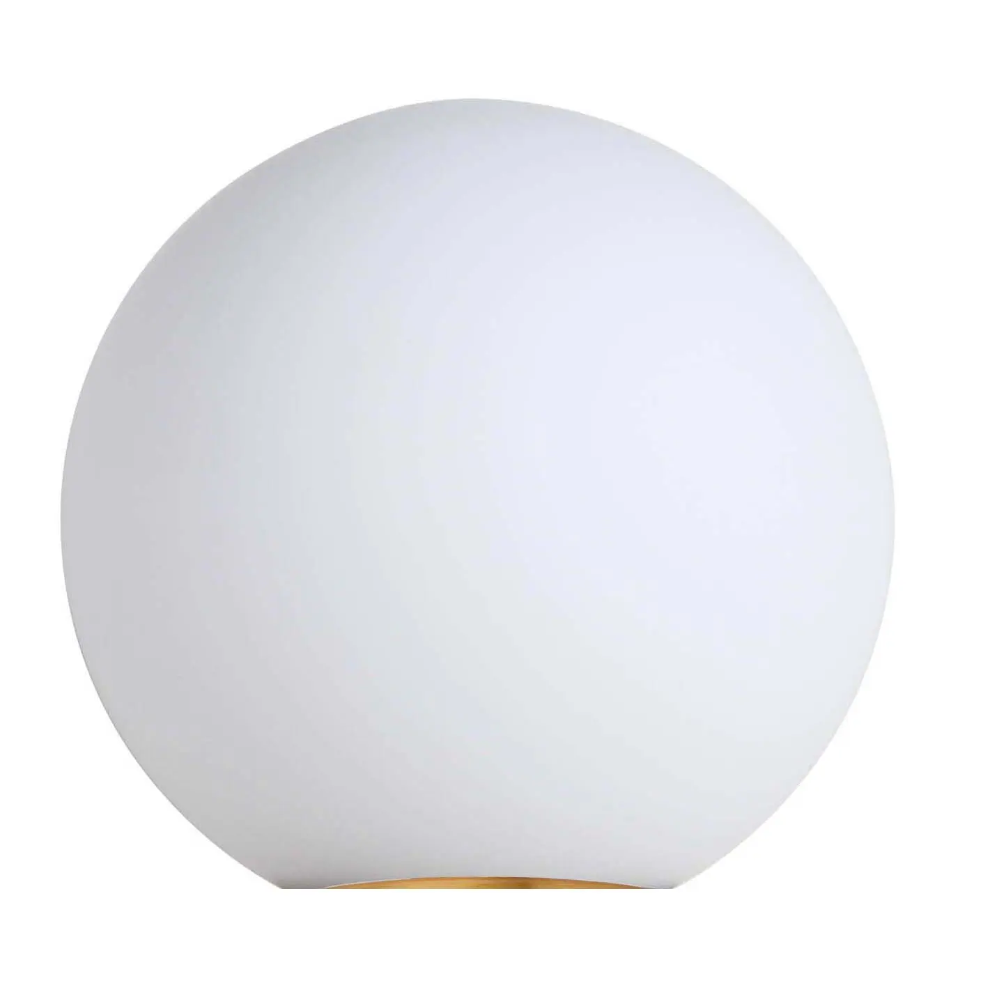 Caleb Frosted Glass Globe Caleb Frosted Glass Globe