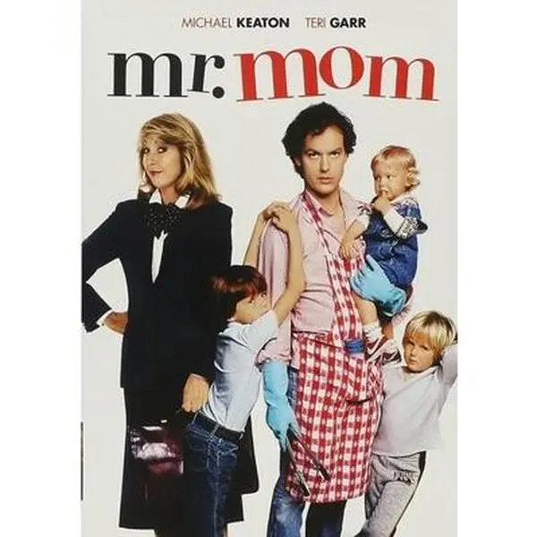 USED Book - Mr. Mom (DVD) - english