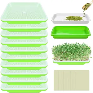 green seed sprouter trays soilfree cultivation germination tray bpa free nursery tray with planting paper for indoors or outdoors sprouting seeds grow grass beans without lids