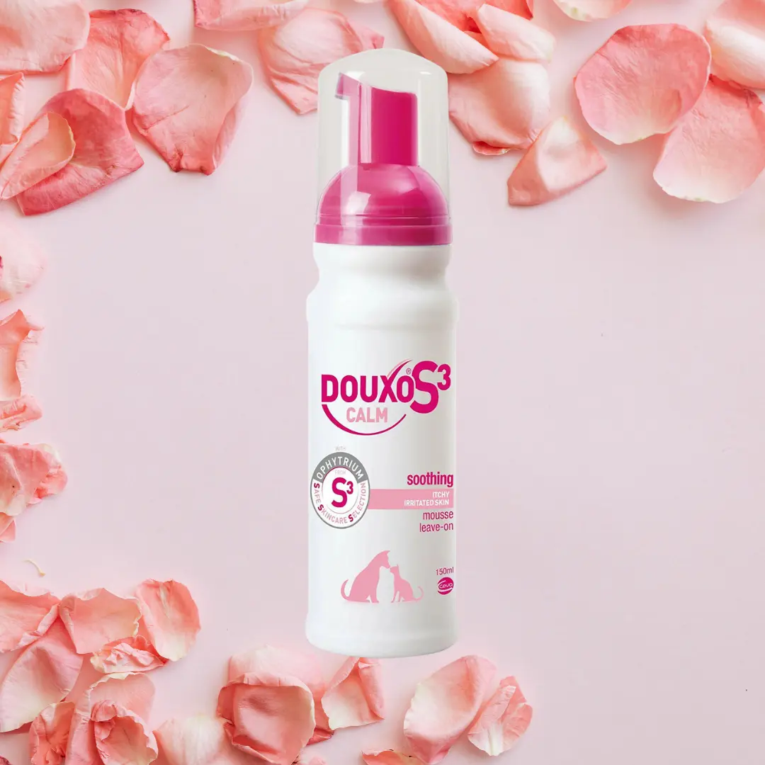Douxo S3 Calm Moisturizing Foam Mousse, 5.1 oz Mild Vanilla Pet Grooming Deodorizer for Dogs & Cats - Free of Harsh Additives, Deep Hydration for Allergy-Prone Skin, Apply to Dry Coat, Brush Compatibility for Finish, Storage Solution, Water, Citric Acid
