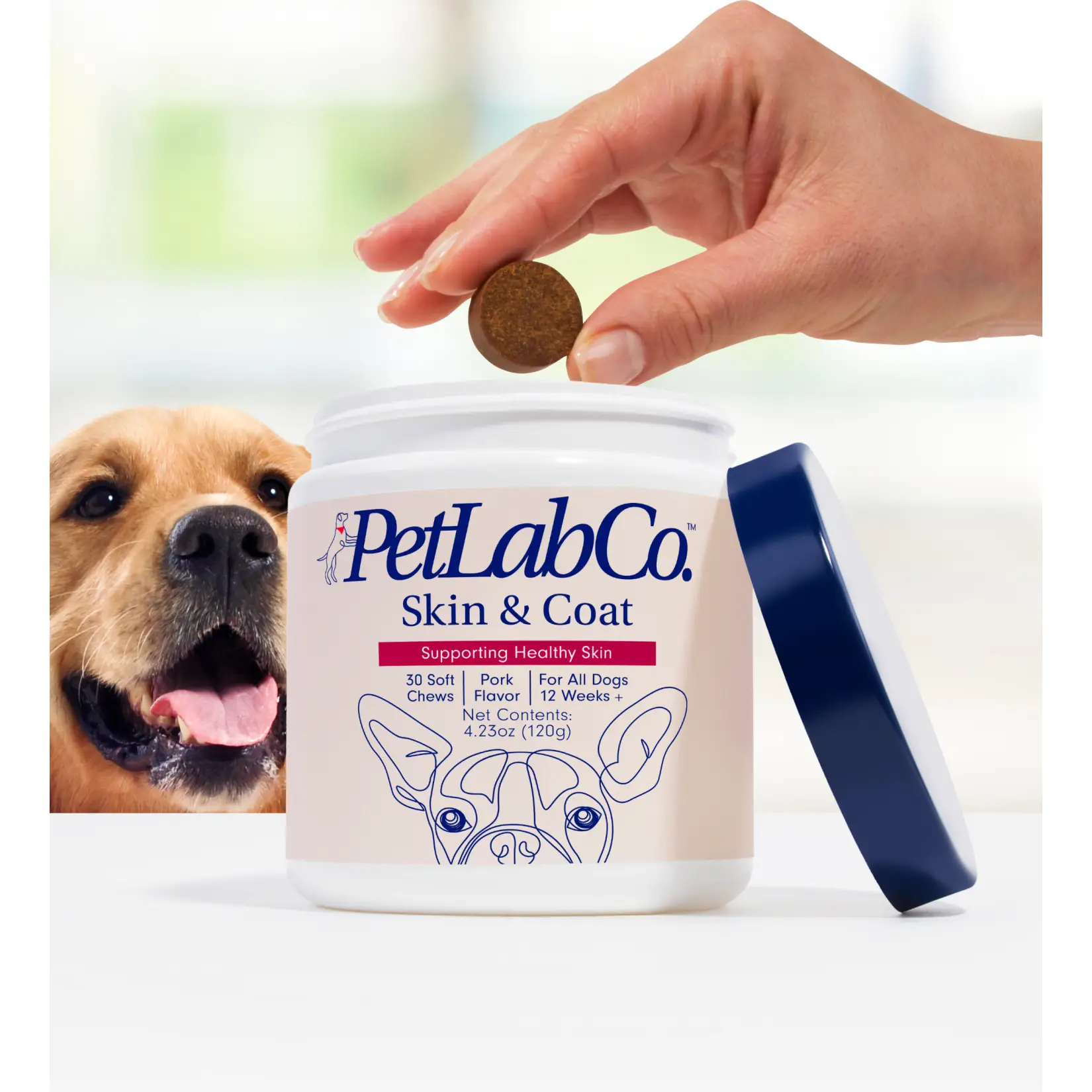 Dog Skin & Coat Supplement – Soft Chews for Moisture & Shine