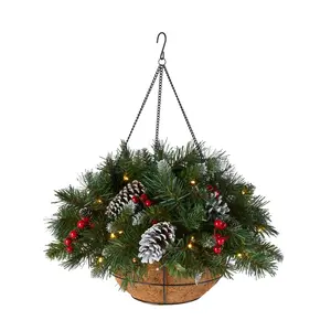 20 in. Pre-Lit  Frosted Berry Hanging Basket with LED Lights