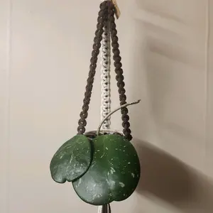 Brown and White Flat Macrame Hanger with Gold Ring for Small Houseplants in 2 Inch Pots Decorative Hanging Planter Elegant and Versatile Home Decor, Window Hanger