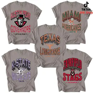 Comfort Colors Grey Color | Retro College Graphic Tee | Vintage Varsity T-Shirt | Classic Campus Style Shirt | Custom Your Team PTS