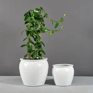 Shanghai Fishbowl Planters