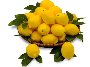Artificial Lemons Set of 12 Fake Lemon Decorative Fruit for Kitchen Home Decor Photography Props