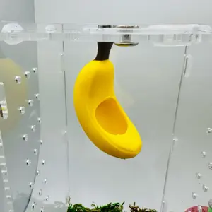 Banana Magnetic Pod Hide | Jumping Spider