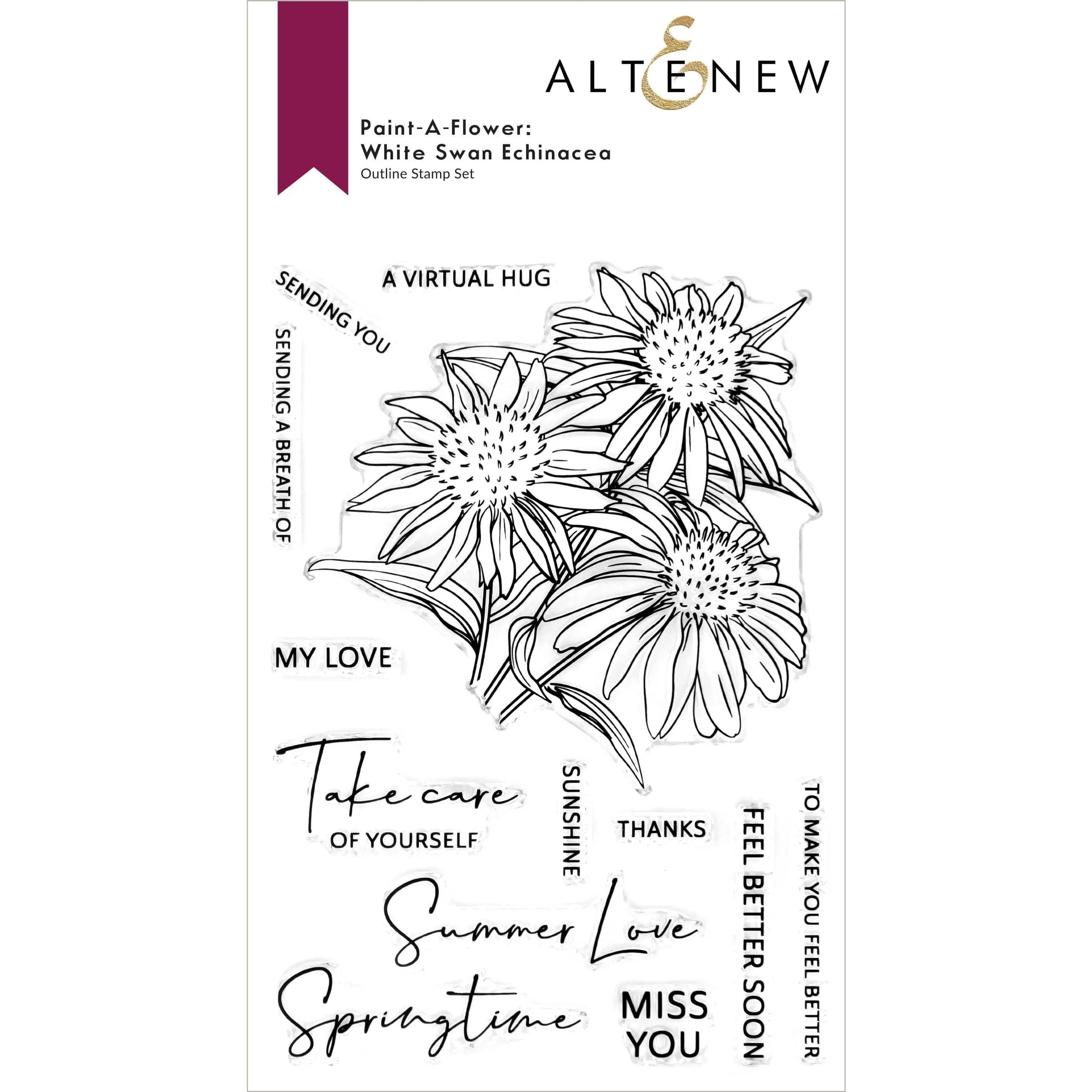 Paint-A-Flower: White Swan Echinacea Outline Stamp Set