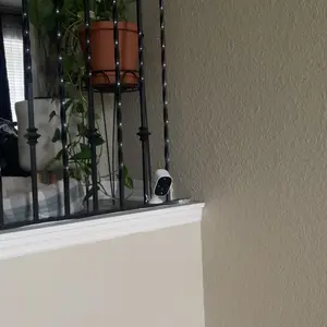 review image 5