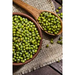 TomorrowSeeds - Mung Bean Seeds -  USA Non GMO Green Vegetable Asian Peas Adzuki Cowpea Japanese Chinese Korean Cover Crop Seed For 2024 Season
