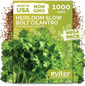 KVITER 1000 Slow Bolt Cilantro Seeds (Coriandrum sativum) - Cilantro Organic Seed, Slow to Bolt Coriander Seed, Aromatic Leaves - Herb Seeds for Planting in Outdoor & Indoor Garden