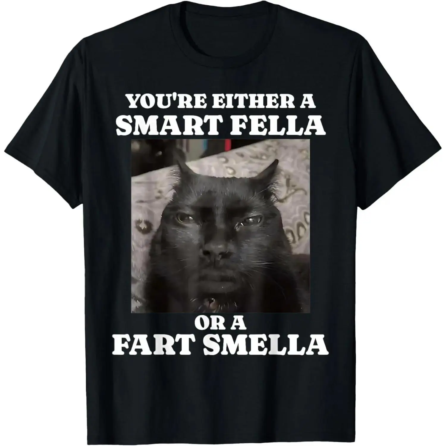 Funny Cat Meme Women's Short Sleeve T-Shirt - "Smart Fella or Fart Smella" Graphic Top