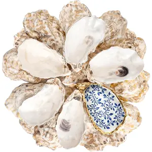 30Pcs 3-4 Inch Concave Oyster Shells for Crafts, Cleaned Natural Medium Oyster Shells for Decoupage Vase Filler Wedding DIY Decor Coastal Christmas Seashells Art