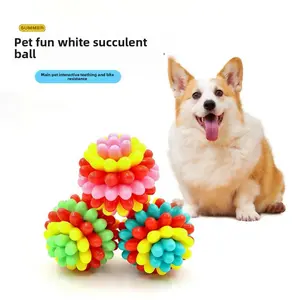 New Arrival: Colorful Multi-Function Durable Chew Succulent Toy Ball - Interactive Teething, Sensory & Fun Soft Rubber Dog Toy