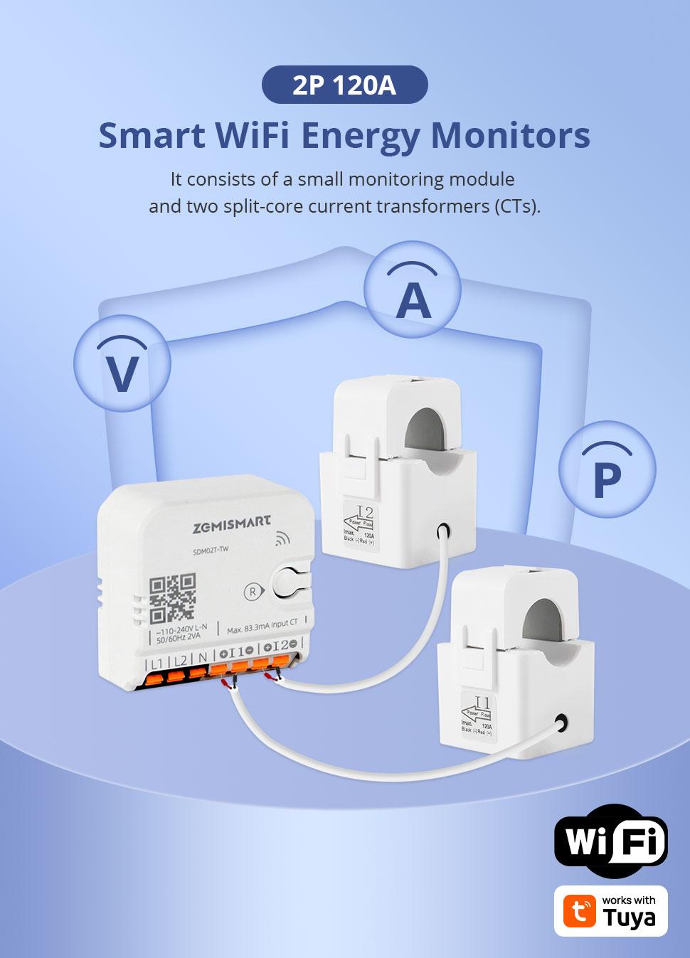Smart Home Energy Monitor with 2 x 120A CTs, Live Electricity Usage Tracking, Bi-Directional Power Tracking, Supports Single-Phase 3-Wire System, 2.4GHz Wi-Fi (WiFi Version)