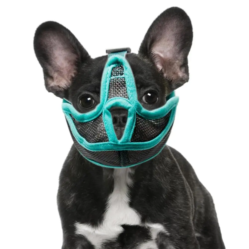 Adjustable Fit Mesh Dog Muzzle with Resin Frame - Multi-Size, Safe Breathing Bulldog Mask for Chew Control, Grooming Training, Mesh Texture