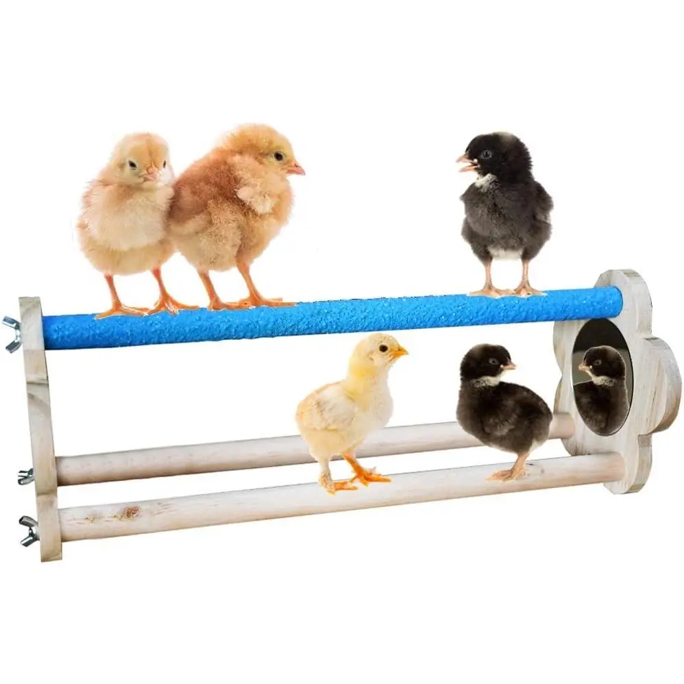Chicken Perch for Chicks Chicken  Stand with Mirrors Chick Stand Trainning Perch  Chicken Swing Chicken  for Hens