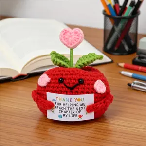 Cute Knitted Apple Ornament with Heartfelt Message Card, Perfect Gift for Friends and Family, Ideal Small Present for Loved Ones