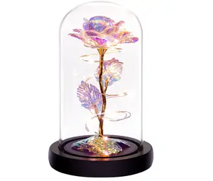 Rainbow Rose in Glass Dome - Perfect Gift for Mom, Wife, Girlfriend or Daughter on Her Birthday Decor Decorative Fruit Plants