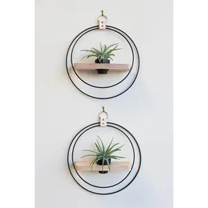 Air Plant Shelf + Pot Duo