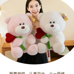 Cute Bear Plush Toy for Valentine's Day, Soft Stuffed Animal Gift for Birthday, Couple Bear Doll for Vending Machine, Single Piece Set