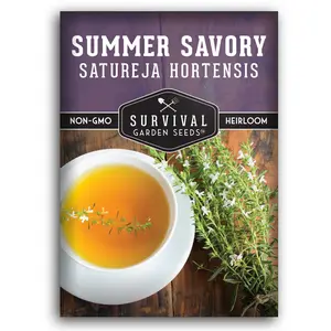 Summer Savory Seeds - Annual Savory