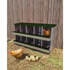 10-Hole Galvanized Chicken Nesting Box with Perch, Egg Collection Tray, Durable Rustproof Wall-Mount Laying Box, Ventilated Roll Away Design, Includes Training Eggs, Ideal for Coops, Hens, and Ducks