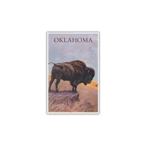 Bison Oklahoma Postcard