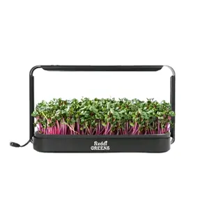 Reddi Greens Microgreen Growing Kit
