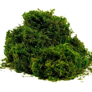 Artificial Moss Fake Green Grass for Centerpieces Home Decor (8OZ, Fresh)