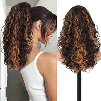 Brown with blonde Highlights 