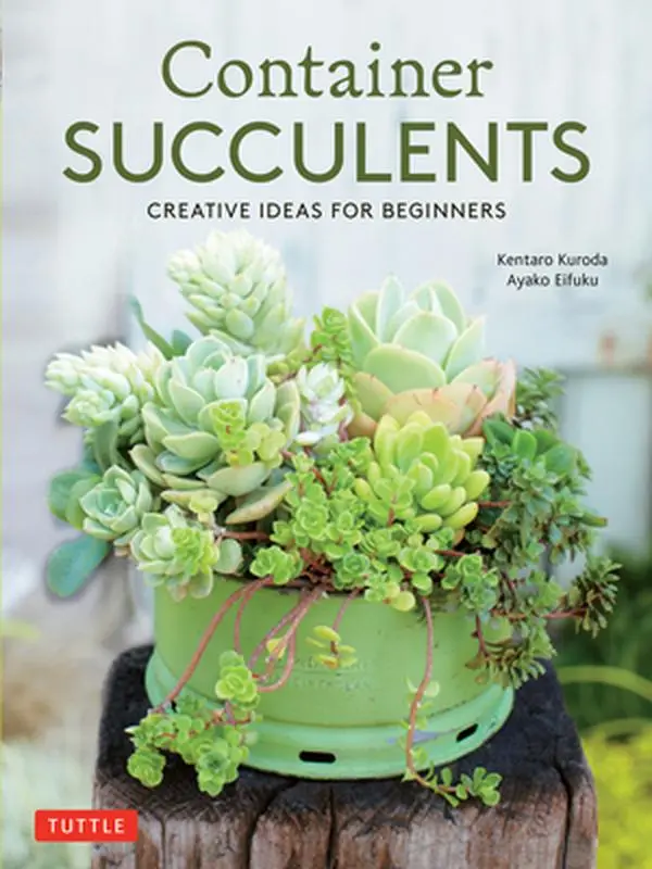 USED Book - Container Succulents: Creative Ideas for Beginners by Kuroda, Kentaro (Paperback) - english